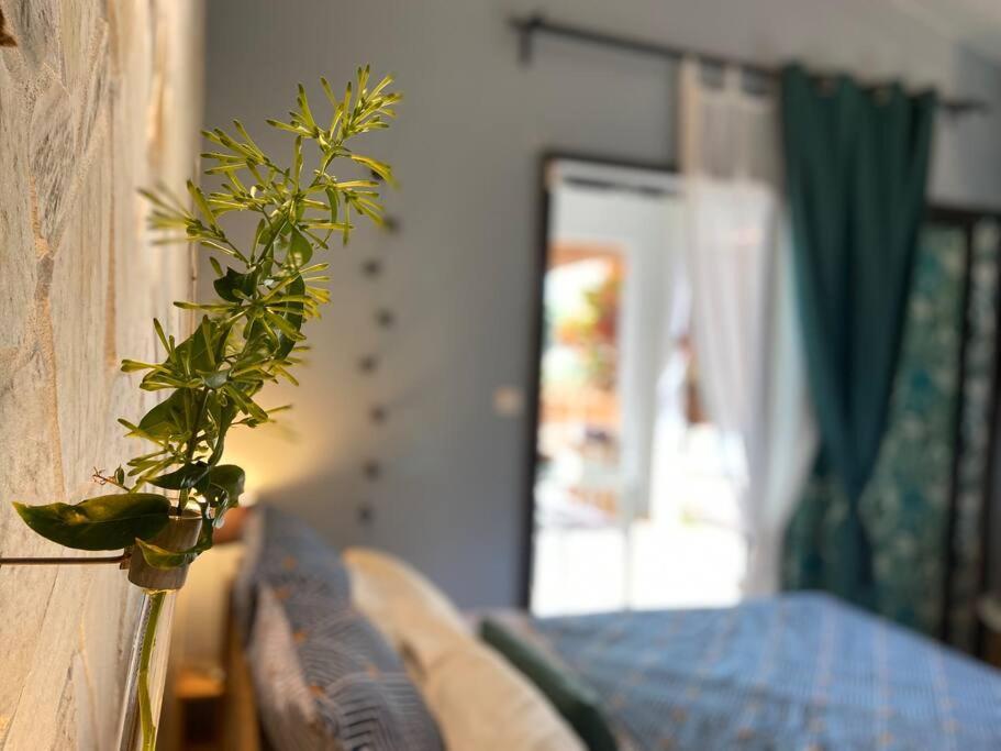 Cocooning Tropic Studio Avec Jacuzzi Privatif Saint-Louis Exteriör bild